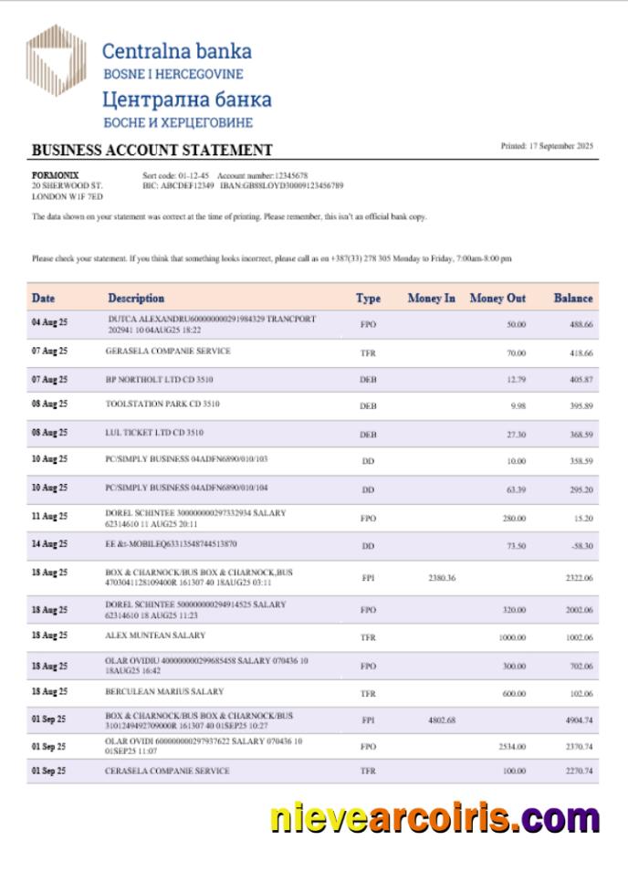 Central business bank statement